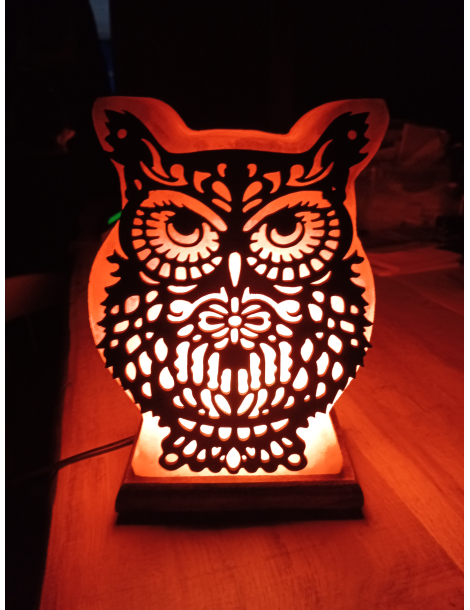 Himalayan salt lamp owl design 20 x 7