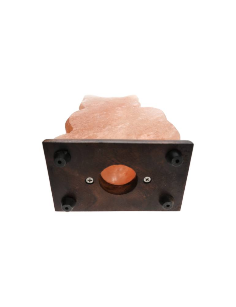 Himalaya-Salzlampe im Katzenmotiv 2 22 x 7