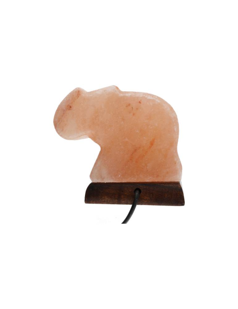 Lampe sel de l’Himalaya motif éléphant 9 x 6