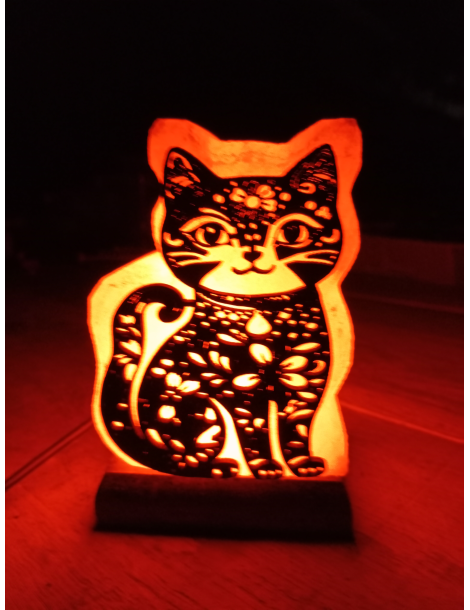 Lampe sel de l’Himalaya motif chat 2 12 x 6