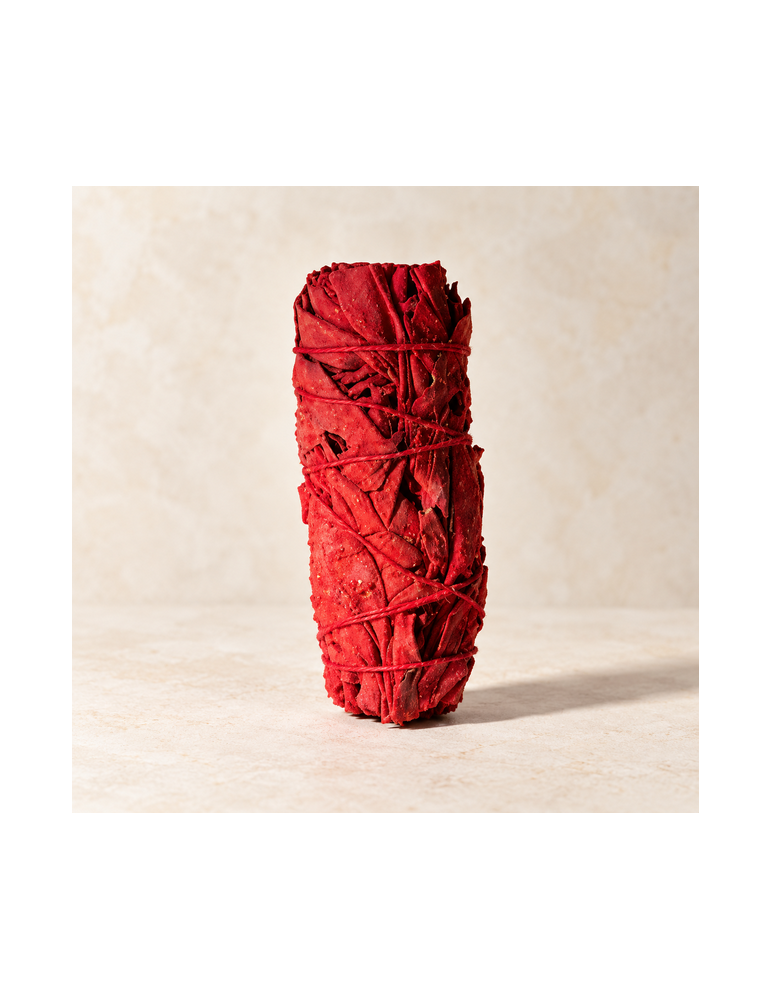 Sauge Blanche & Sang de Dragon - 10cm