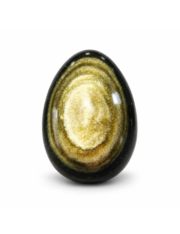 Œuf en obsidienne dorée AA du Mexique sur fond blanc – reflets dorés naturels