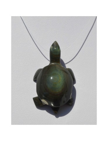 Obsidiaan schildpad hanger hemelse oog A