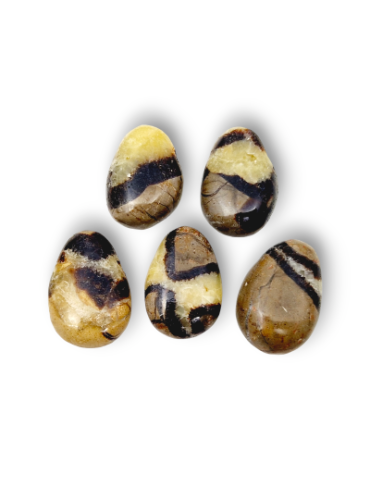 Pierced pendants through yellow Septaria lot x5
