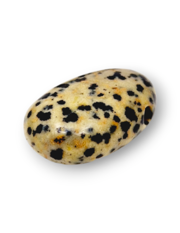 Dalmatian Jasper pierced...