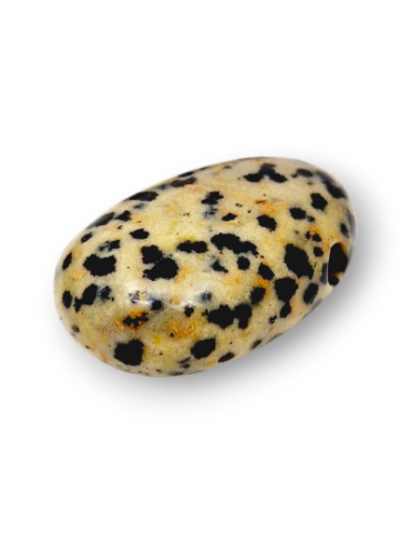 Dalmatian Jasper pierced pendants lot x5