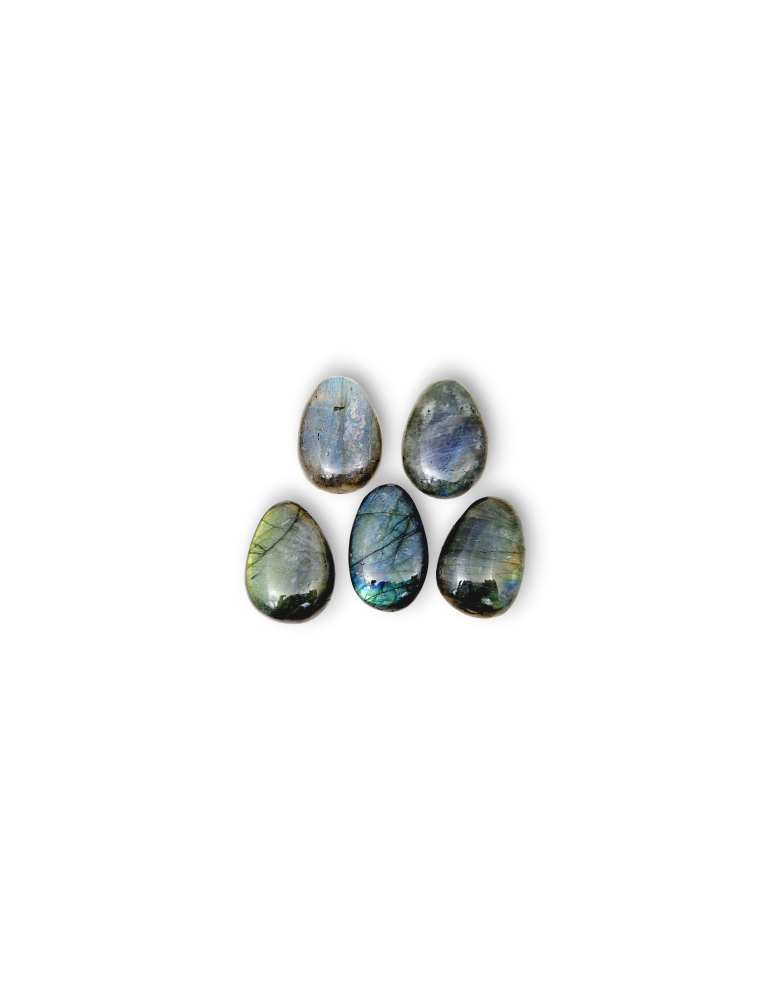Ciondoli forati in Labradorite lotto x5