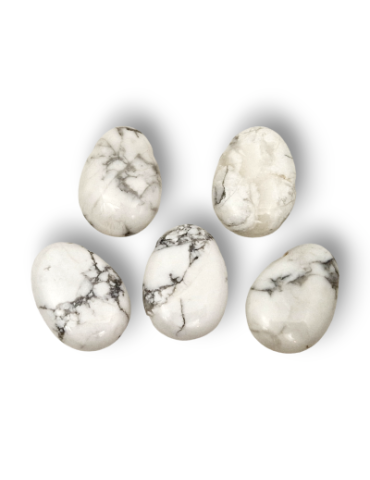 Ciondoli forati in Howlite lotto x5