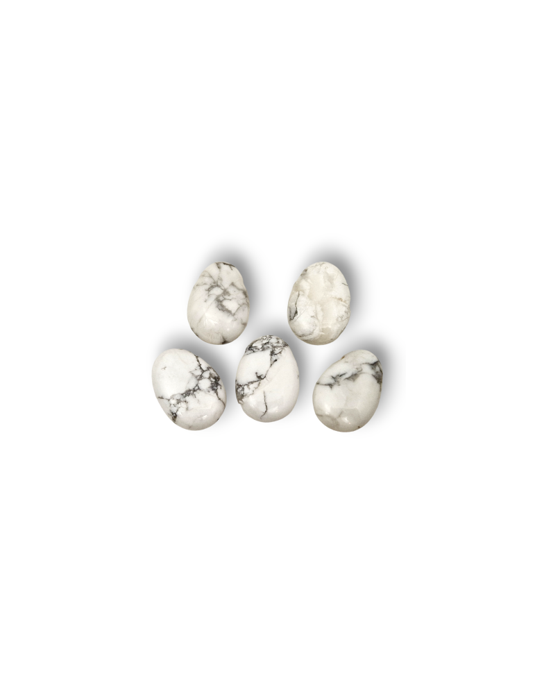 Ciondoli forati in Howlite lotto x5