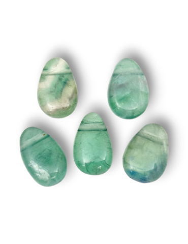 Ciondoli forati in Fluorite verde lotto x5