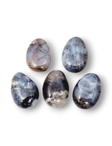 Pierced pendants through Dendrite Agate set x5