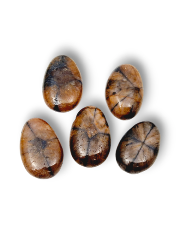 Drilled Chiastolite pendants set x3