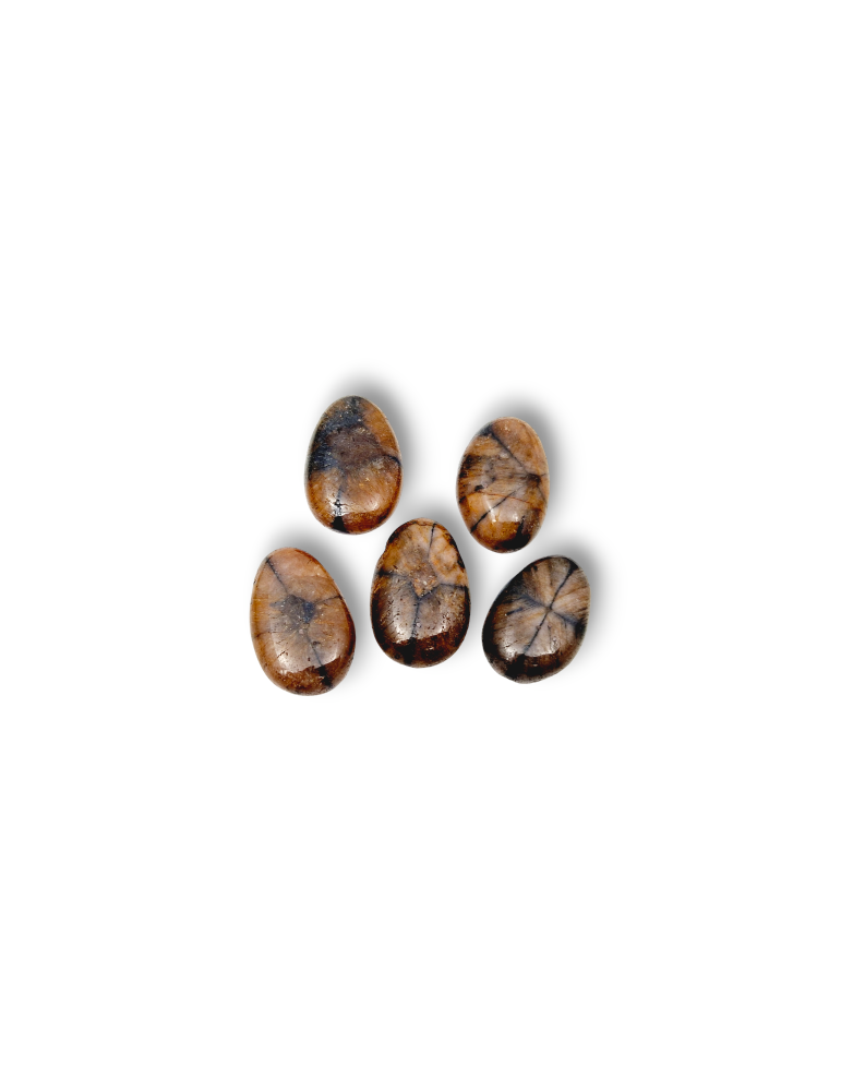 Drilled Chiastolite pendants set x3