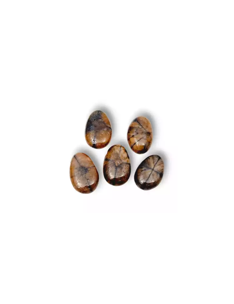 Drilled Chiastolite pendants set x3