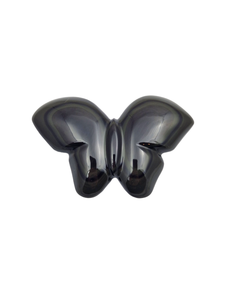 Papillon obsidienne oeil céleste A